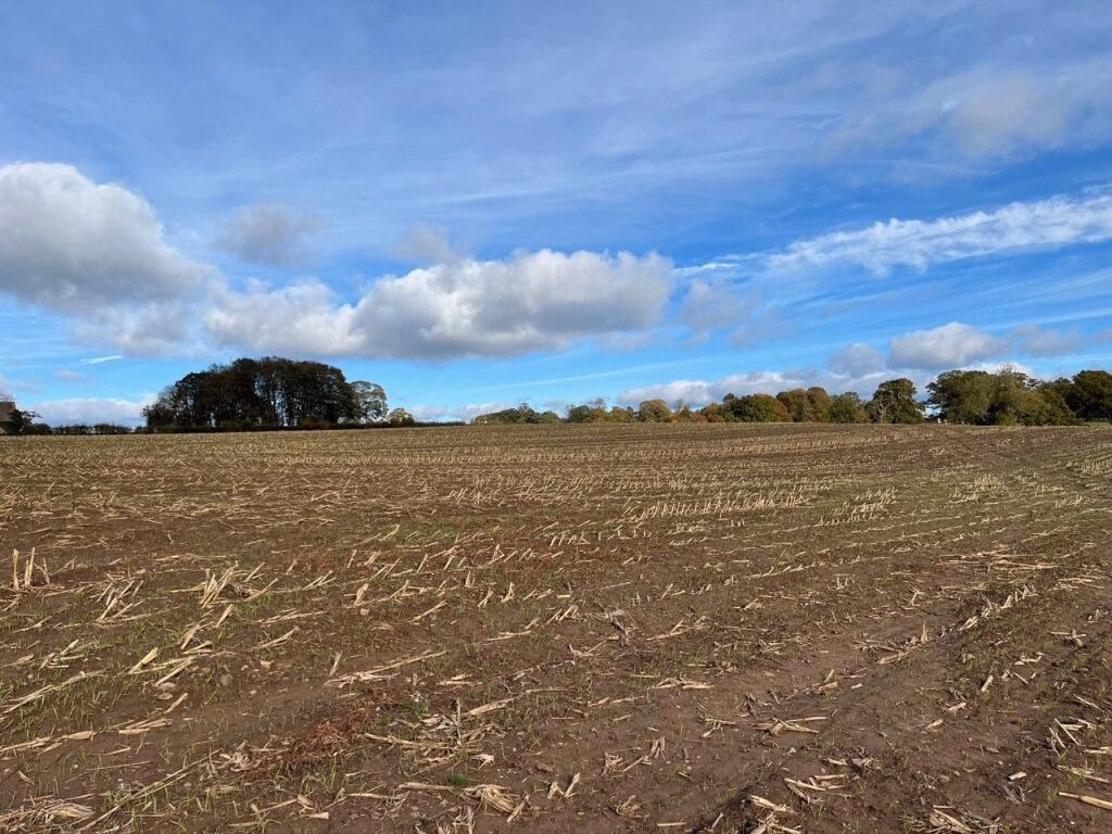 Land for sale - Image 4