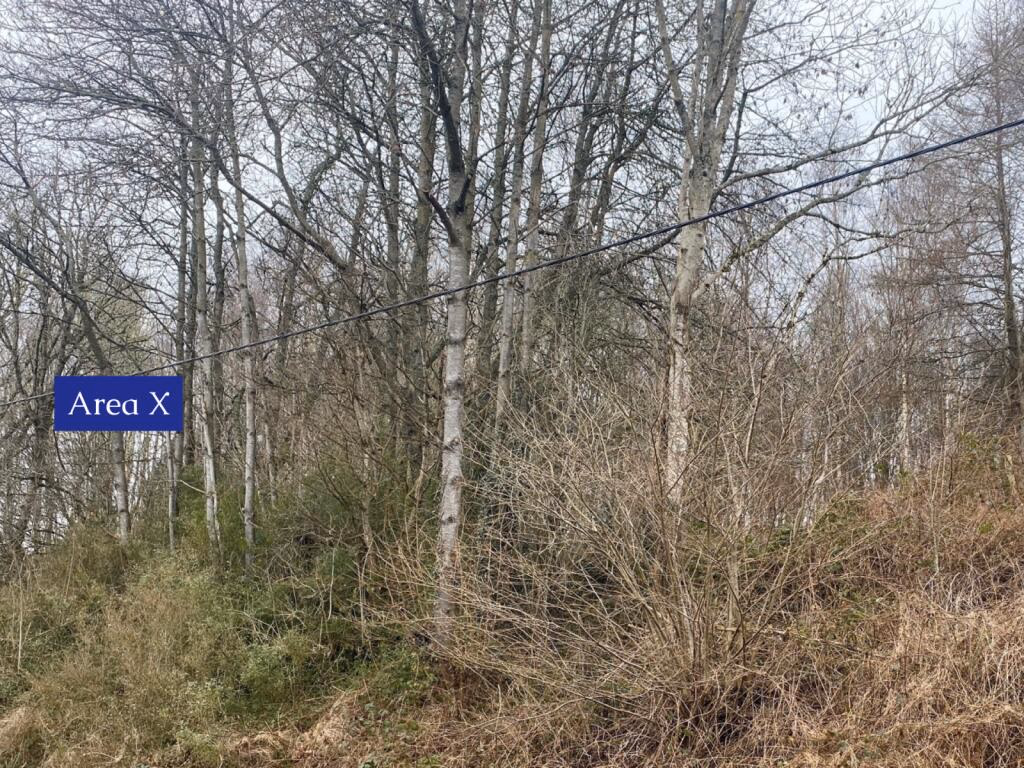 Land for sale - Image 3