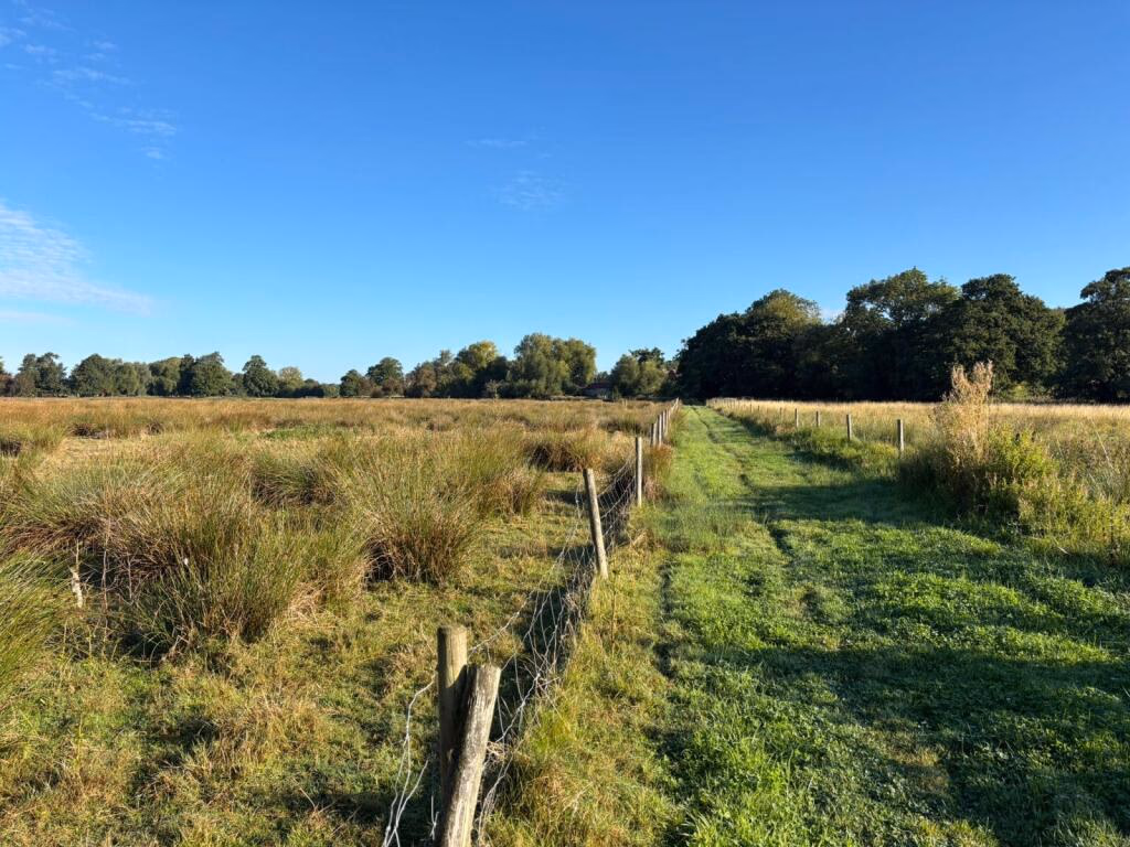 Land for sale - Image 1