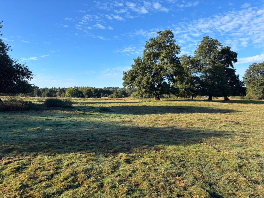 Land for sale - Image 3