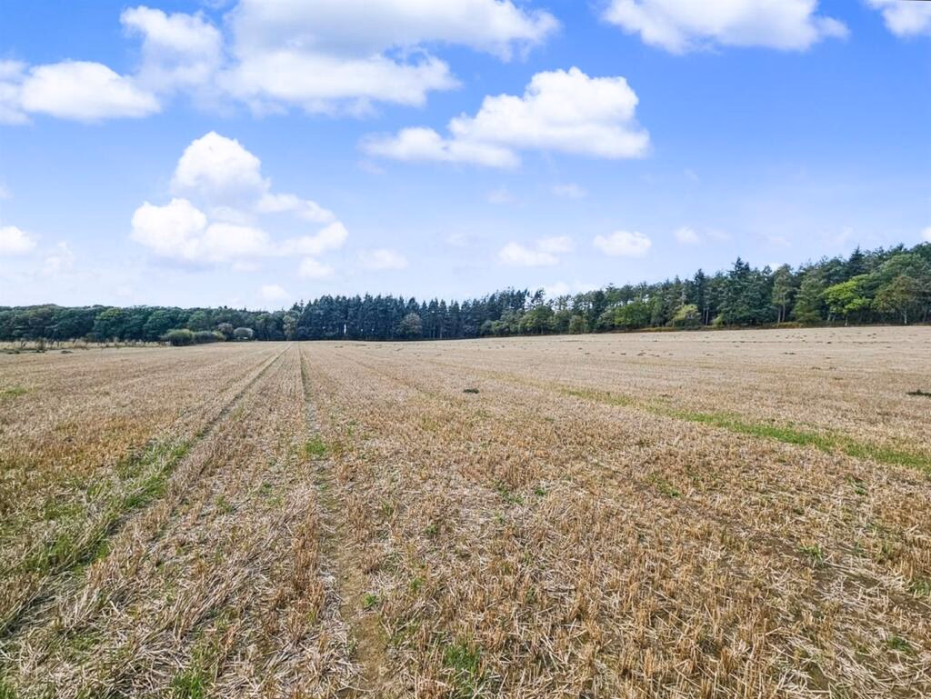Land for sale - Image 1