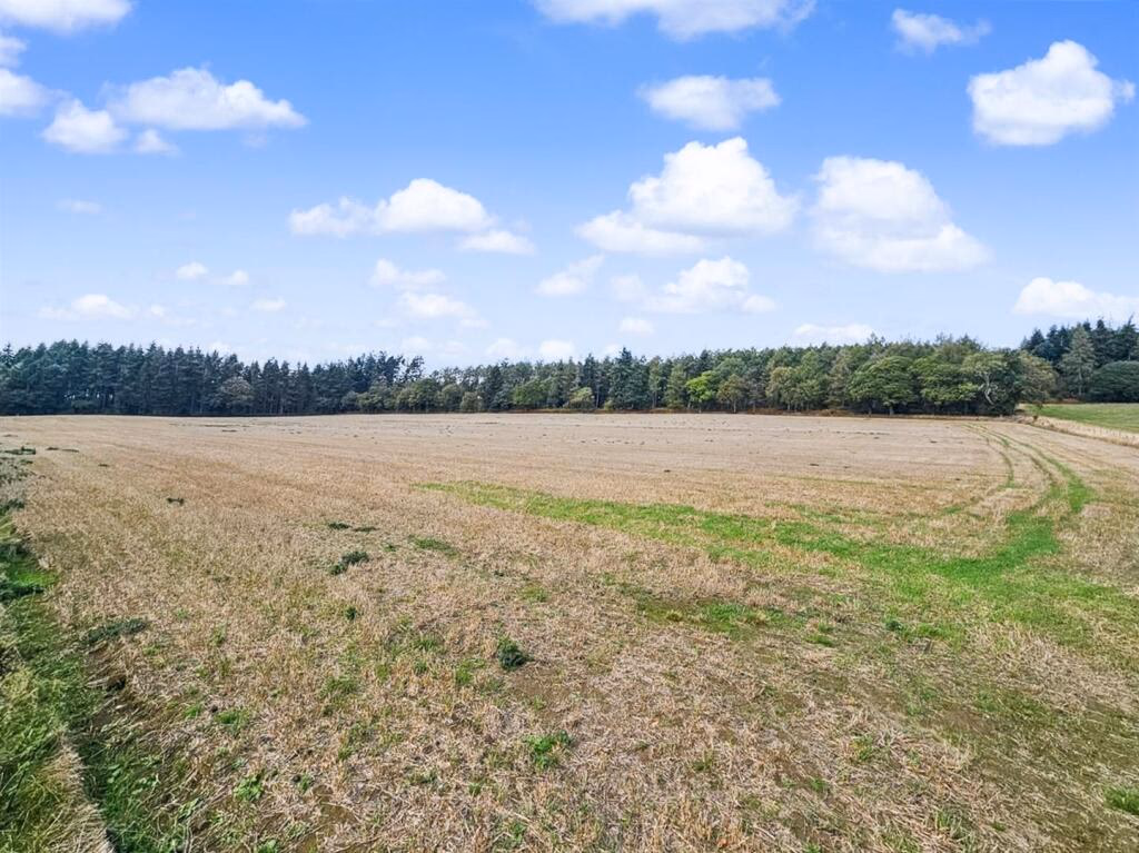 Land for sale - Image 3