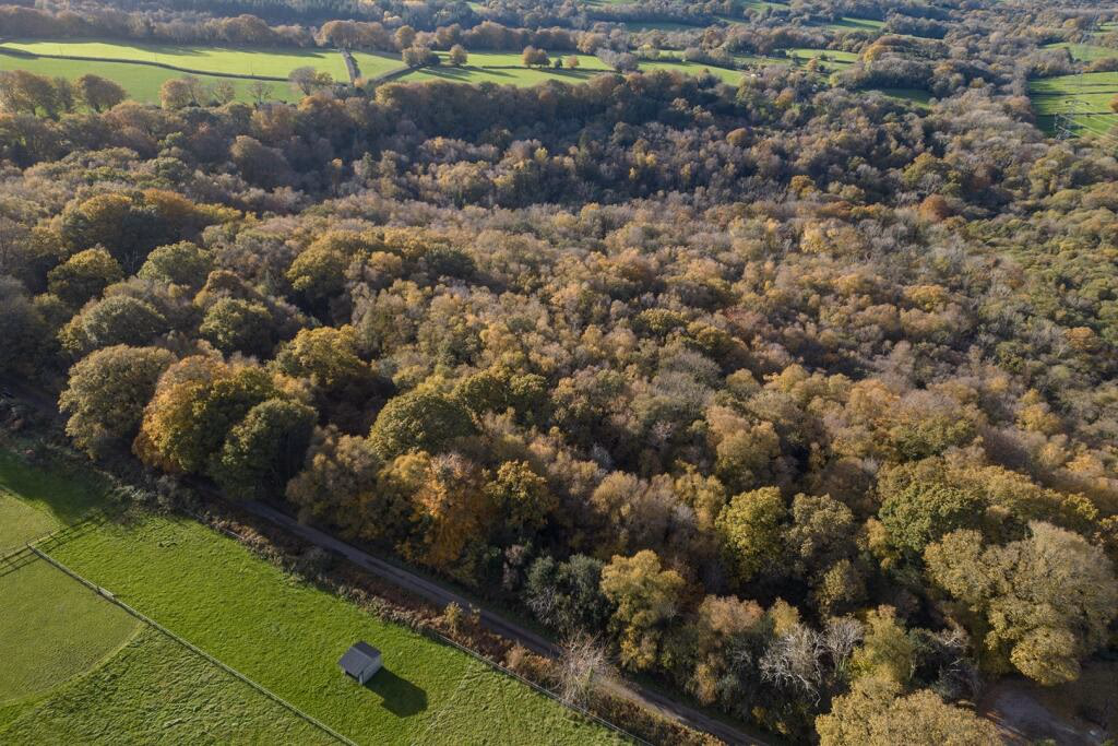 Land for sale - Image 1