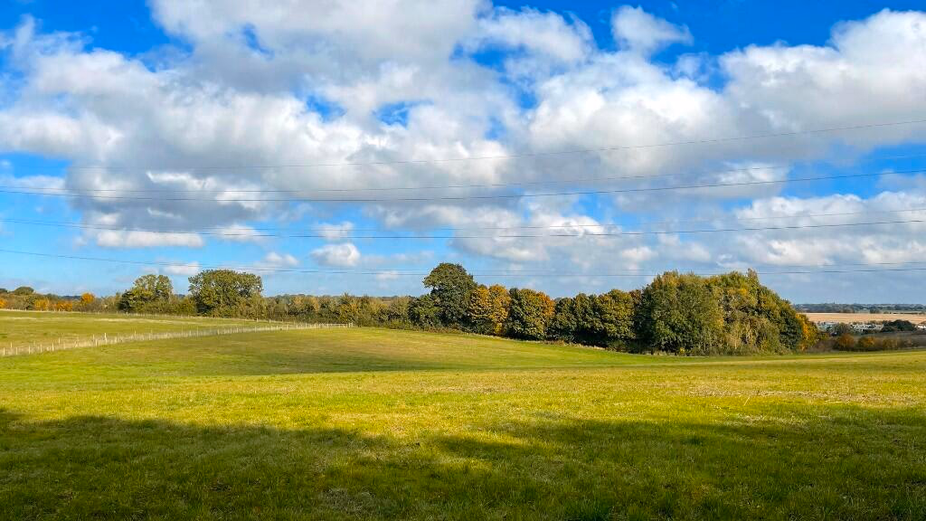 Land for sale - Image 2