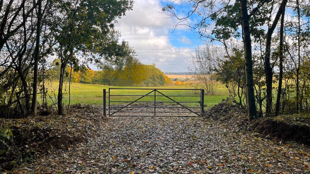 Land for sale - Image 4