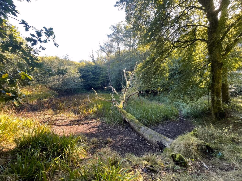 Land for sale - Image 2