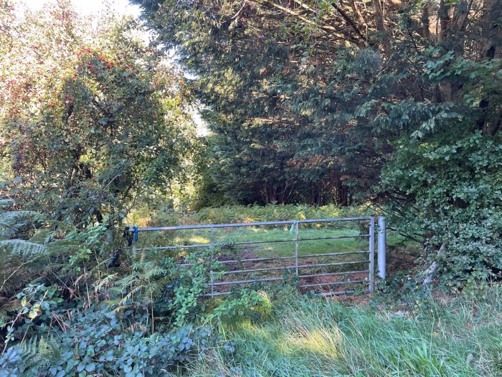 Land for sale - Image 3