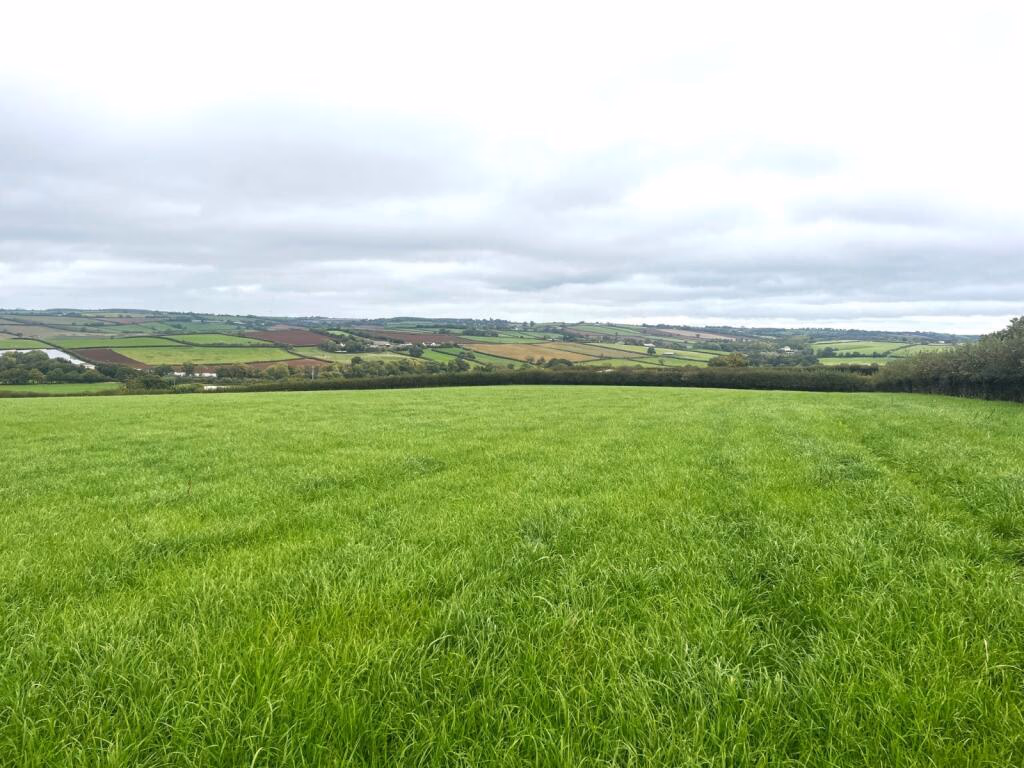 Land for sale - Image 1