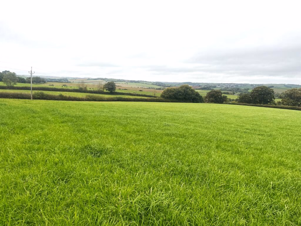 Land for sale - Image 2