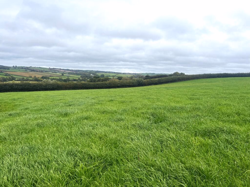 Land for sale - Image 3