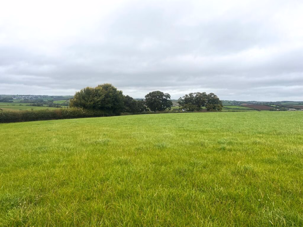 Land for sale - Image 4