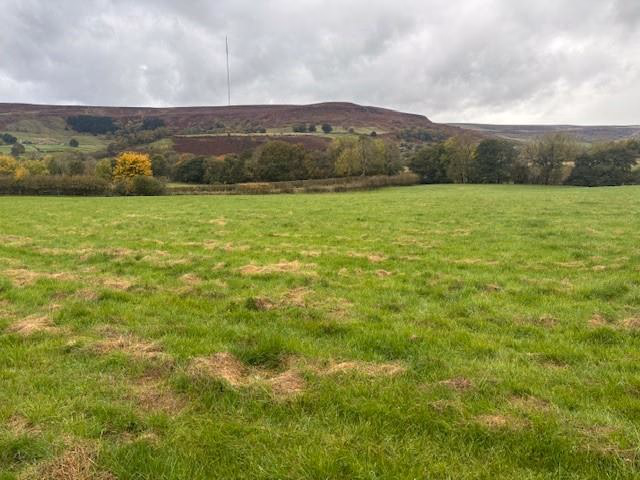 Land for sale - Image 5