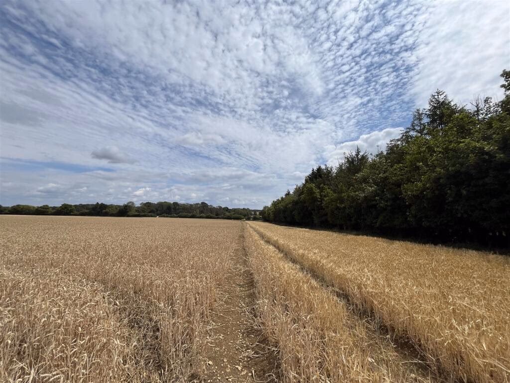 Land for sale - Image 1