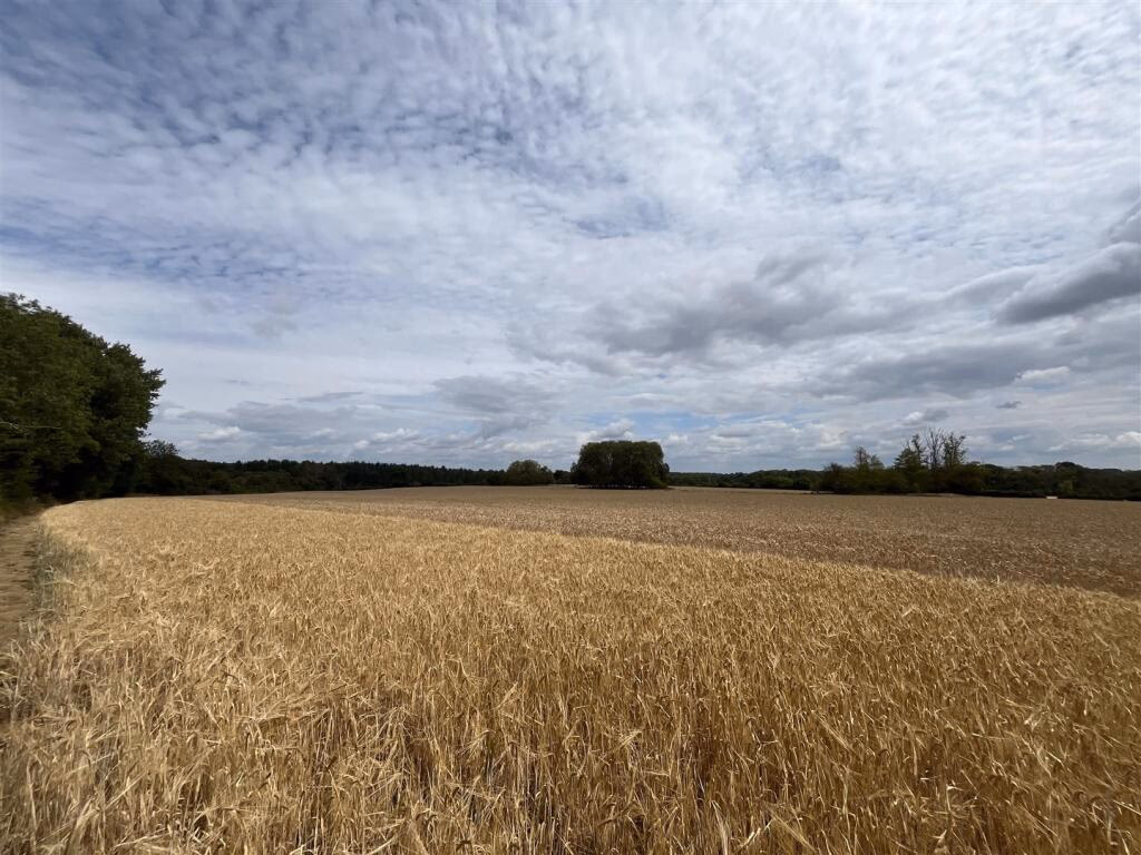 Land for sale - Image 2