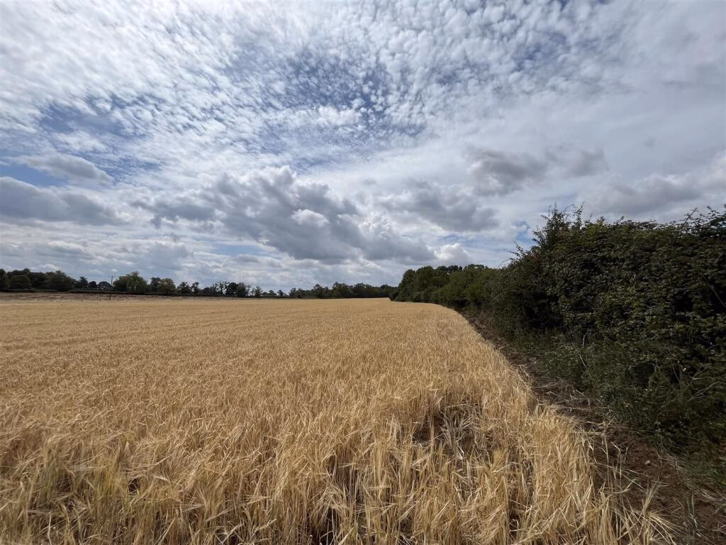 Land for sale - Image 3