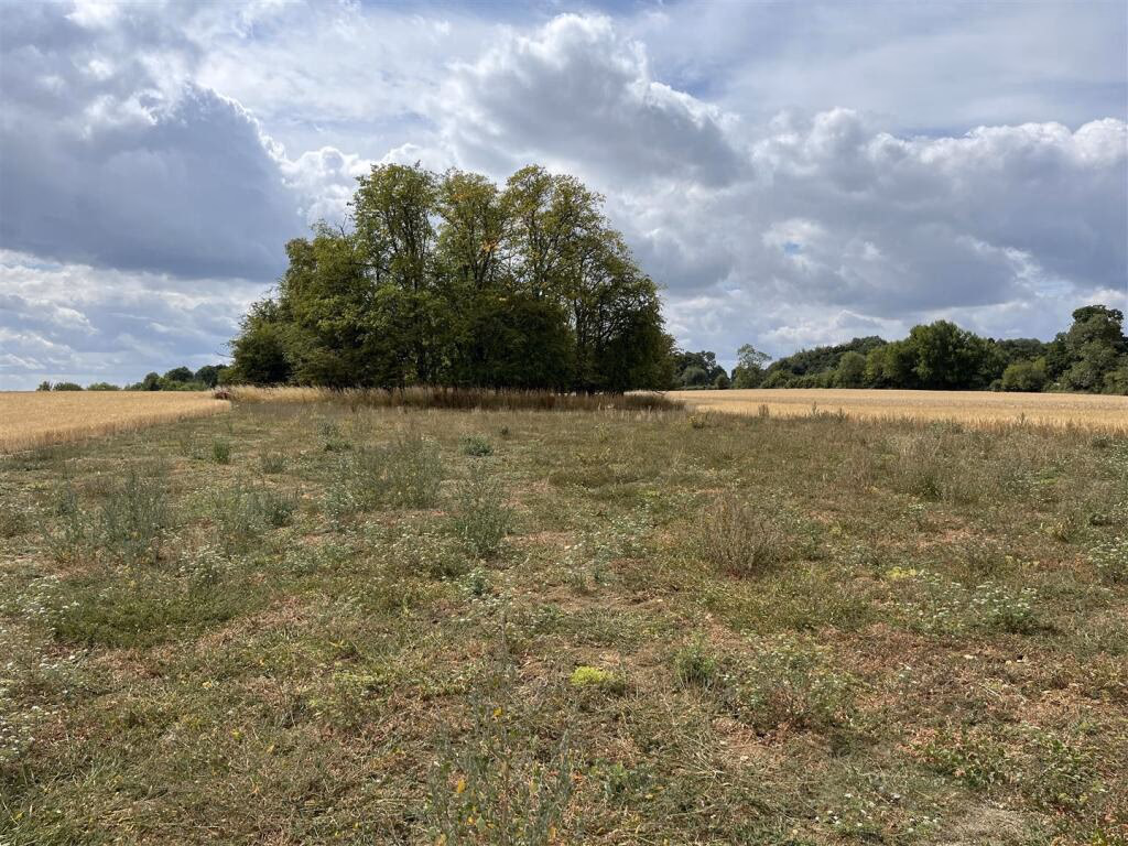 Land for sale - Image 4