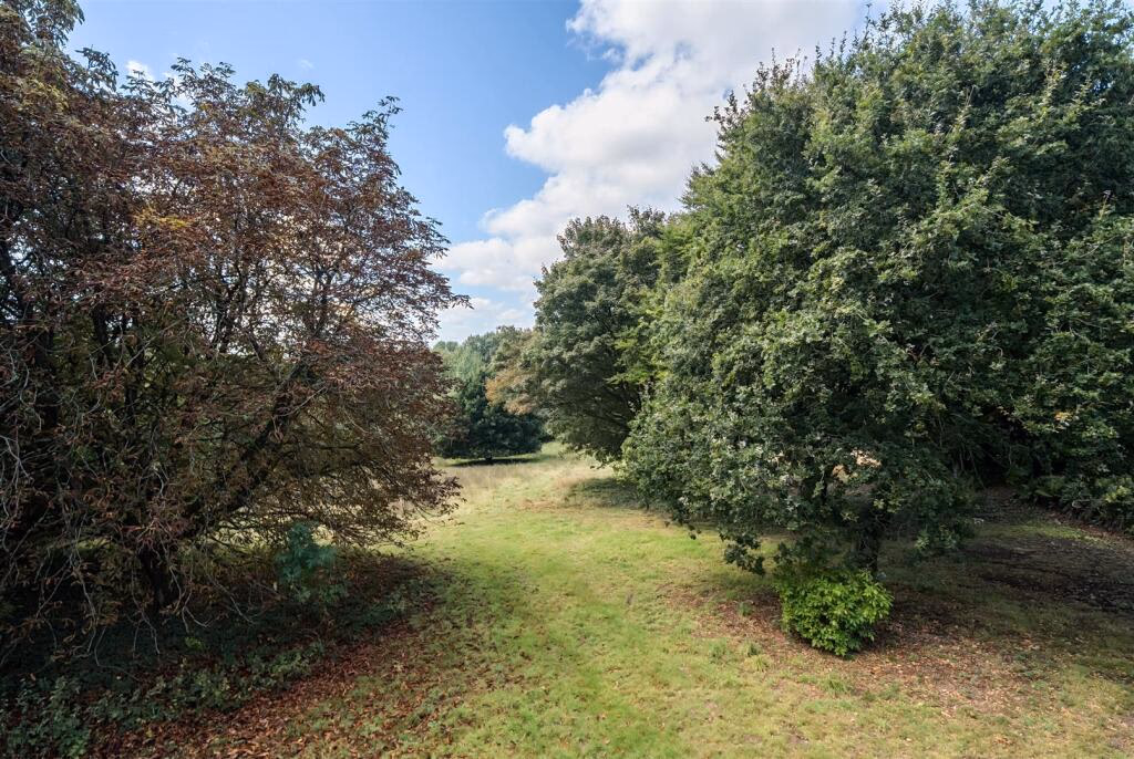 Land for sale - Image 2