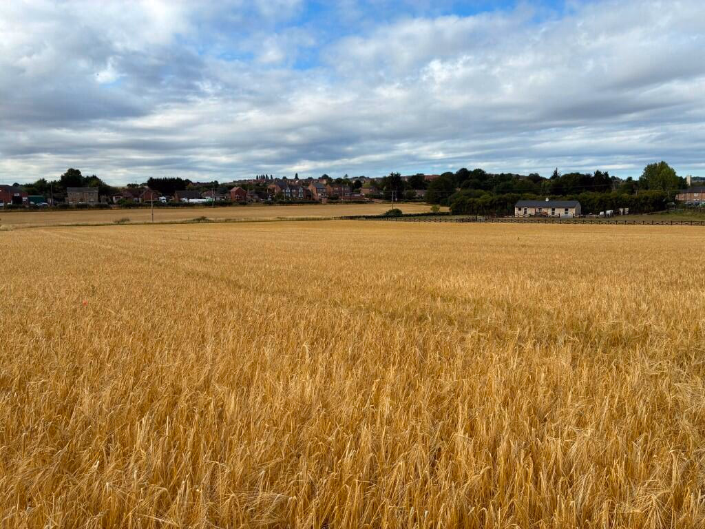 Land for sale - Image 2