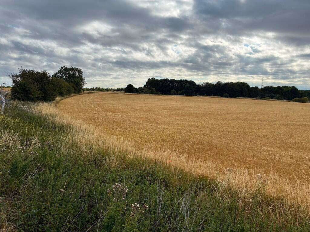 Land for sale - Image 3