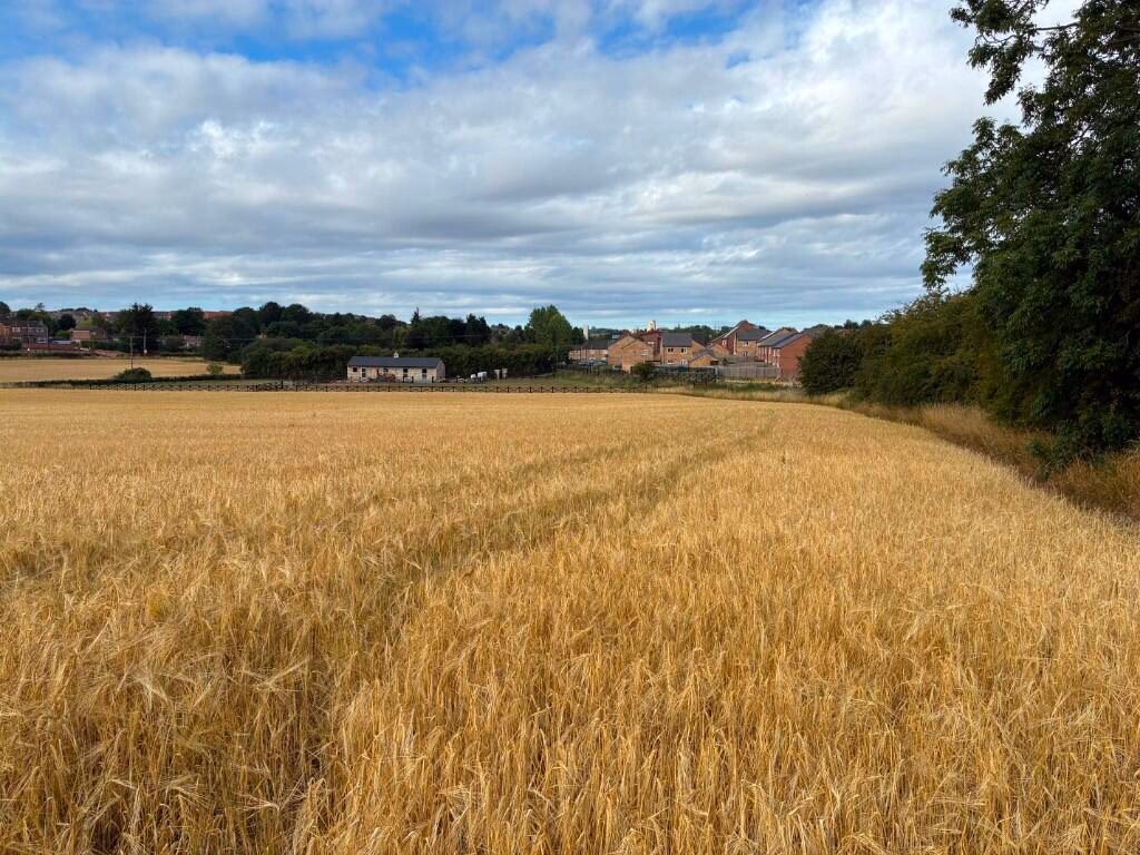 Land for sale - Image 5