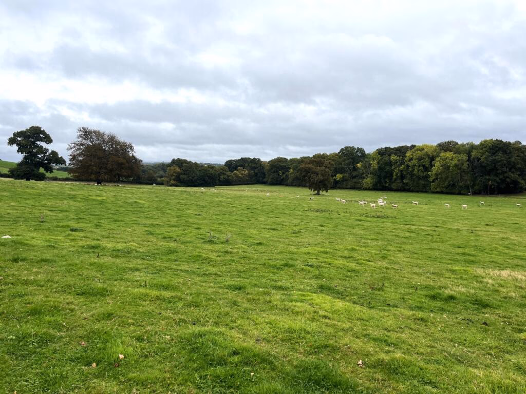 Land for sale - Image 2