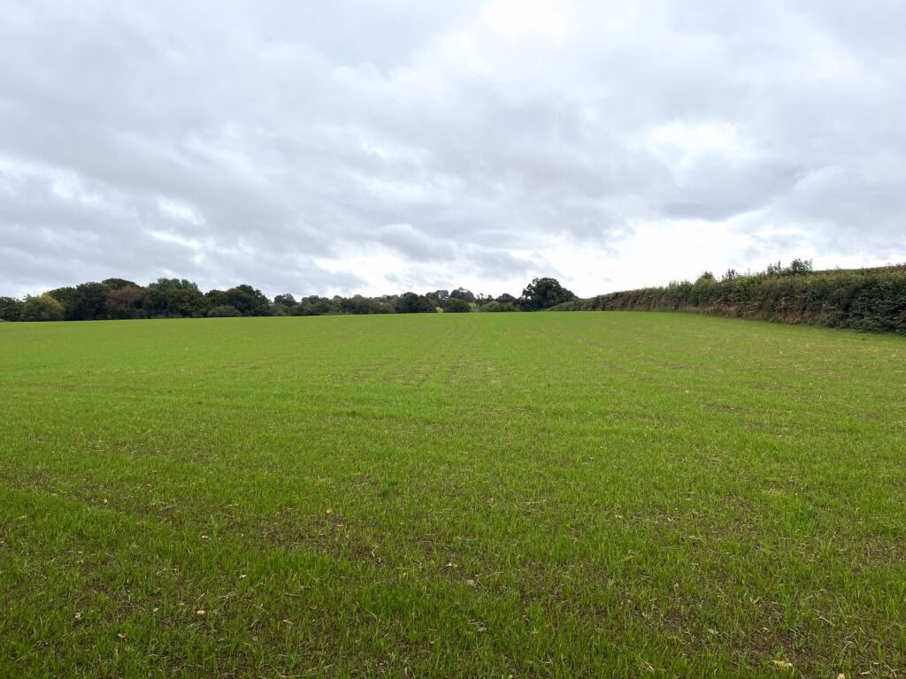 Land for sale - Image 3