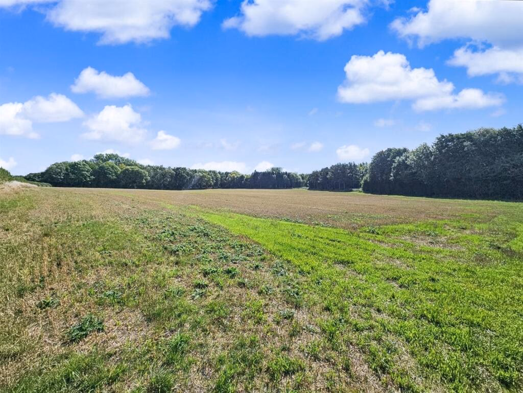 Land for sale - Image 1