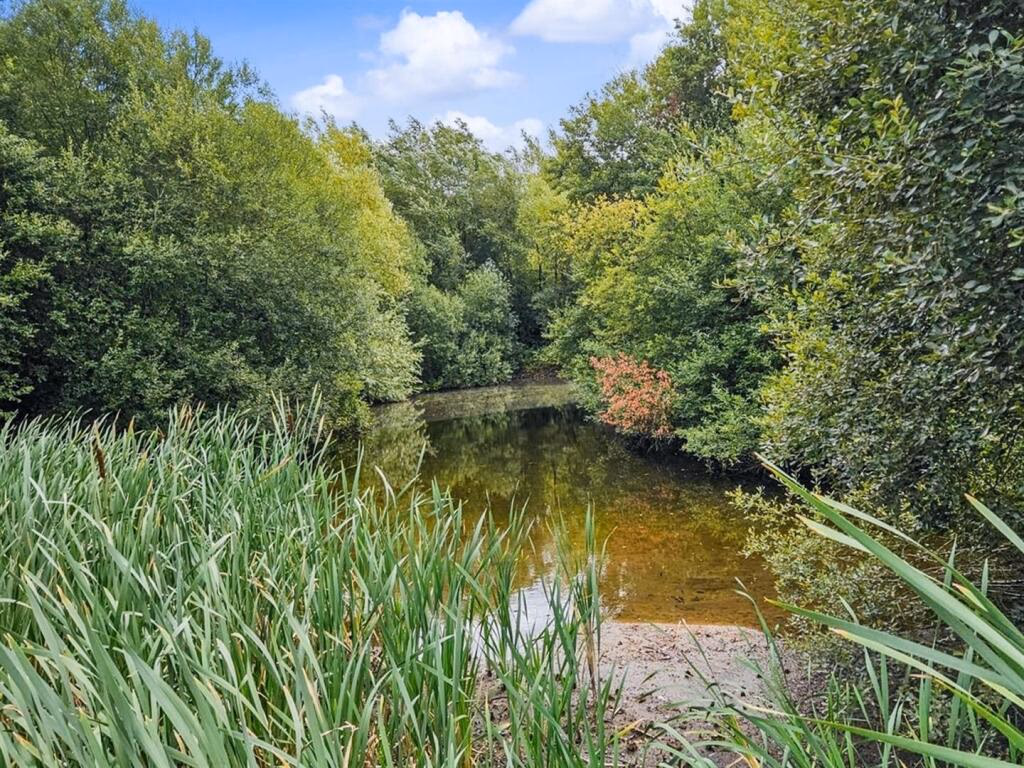 Land for sale - Image 2