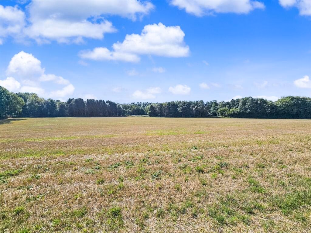 Land for sale - Image 3