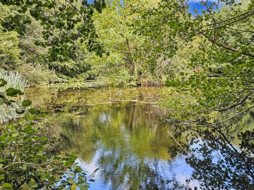 Land for sale - Image 4