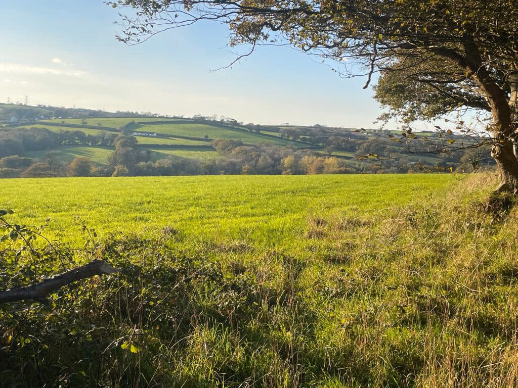 Land for sale - Image 3