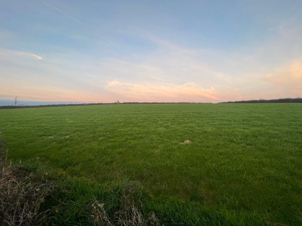 Land for sale - Image 5