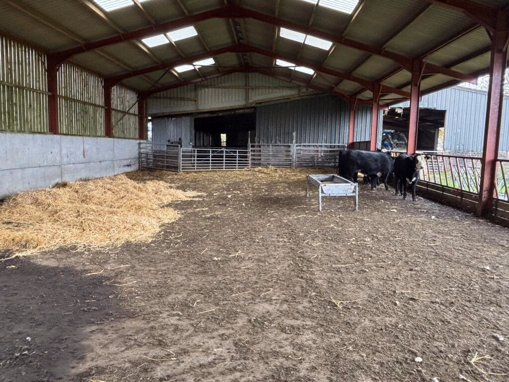 Land for sale - Image 3