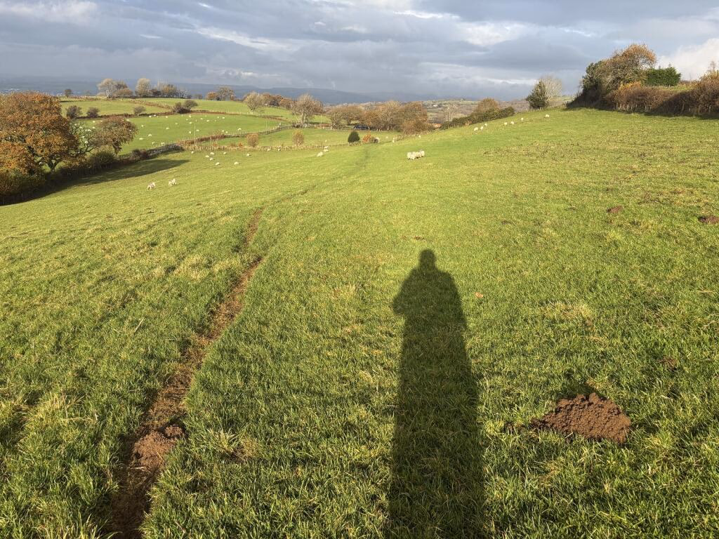 Land for sale - Image 5