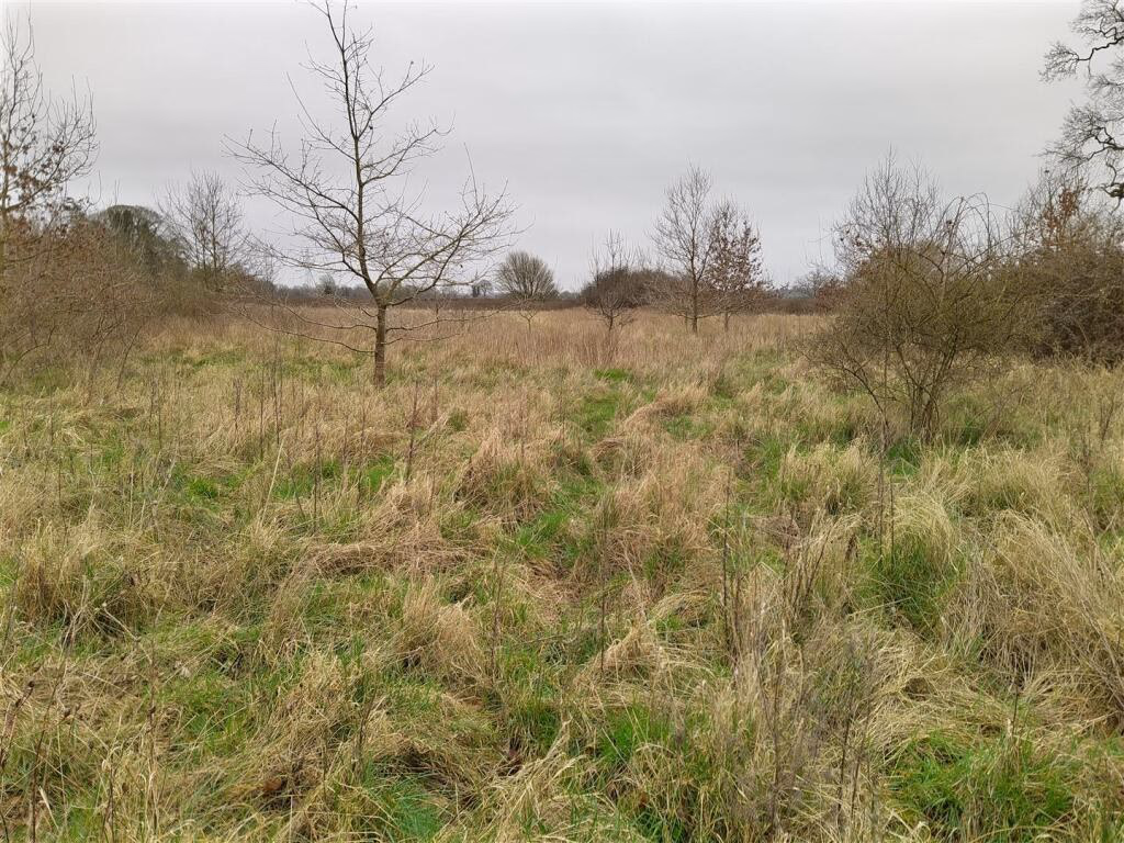 Land for sale - Image 1