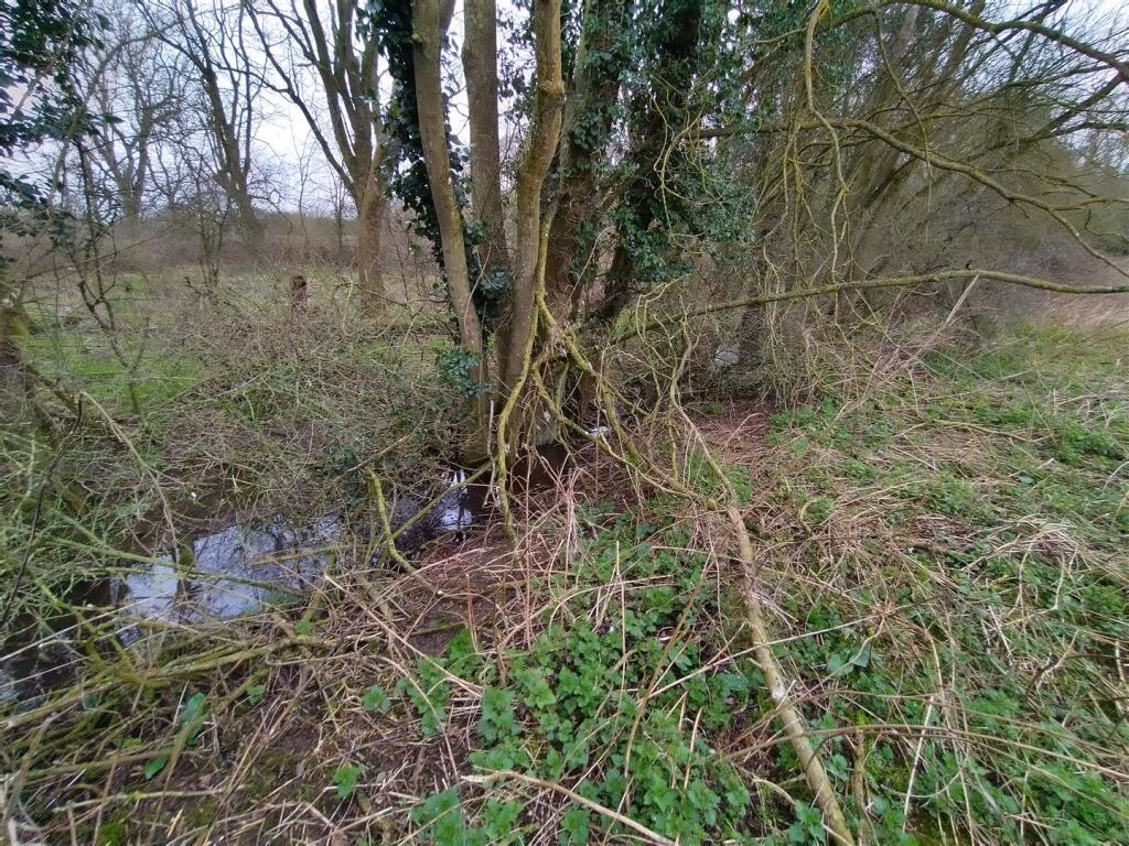 Land for sale - Image 4