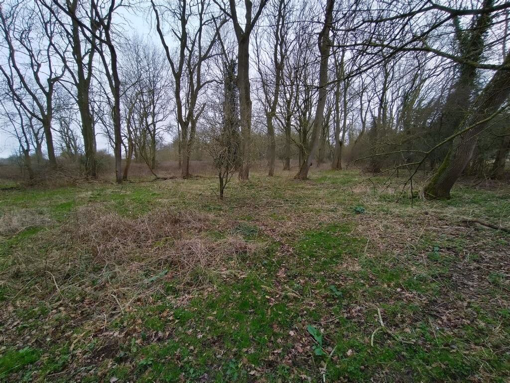 Land for sale - Image 5