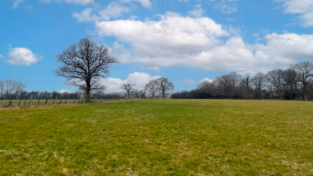 Land for sale - Image 3