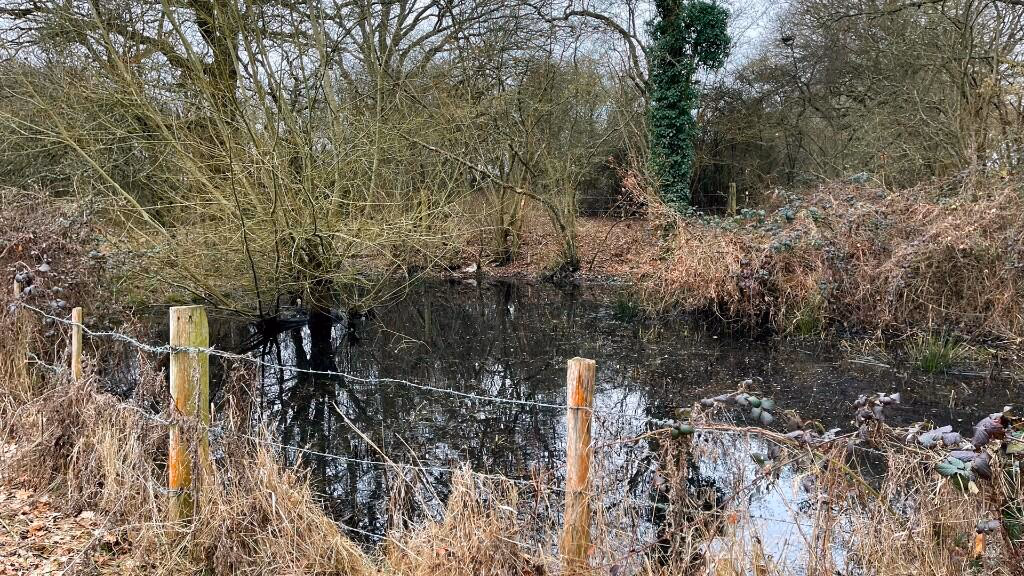 Land for sale - Image 4