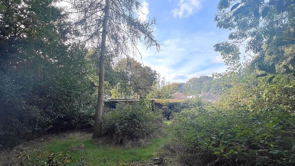 Land for sale - Image 2