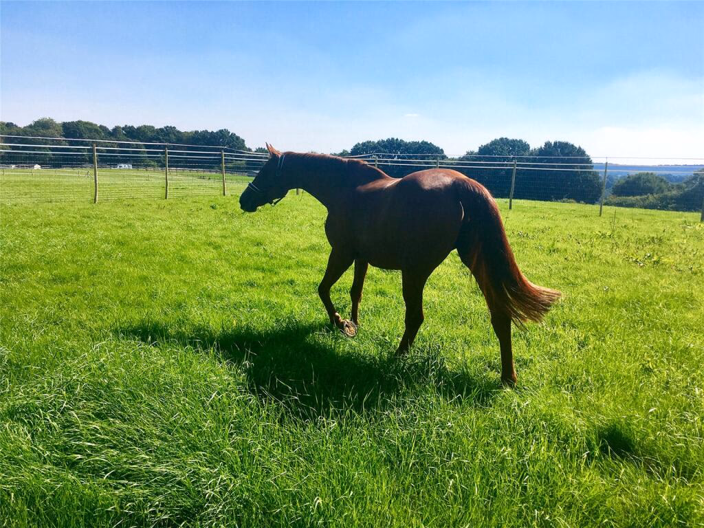 Land for sale - Image 1