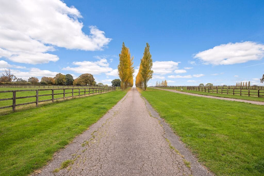 Land for sale - Image 4