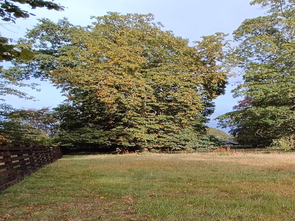 Land for sale - Image 2