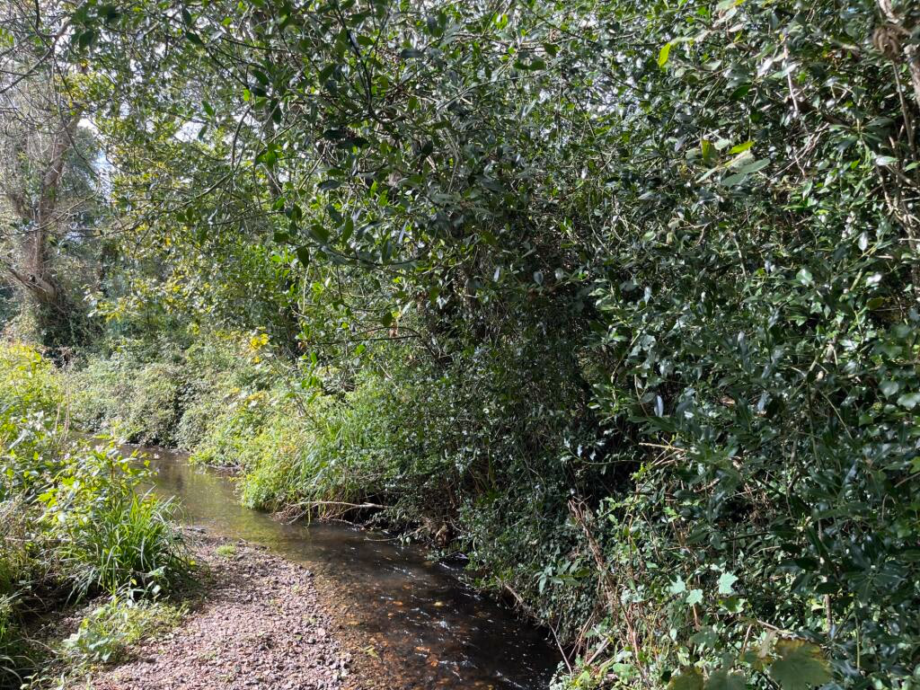 Land for sale - Image 3