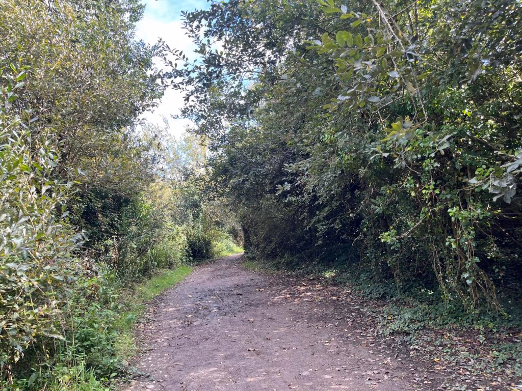 Land for sale - Image 5