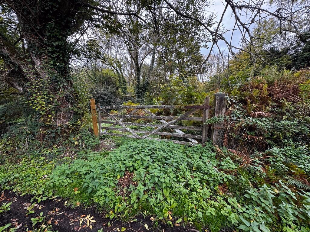 Land for sale - Image 3