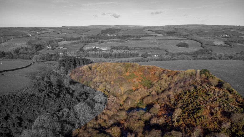 Land for sale - Image 3