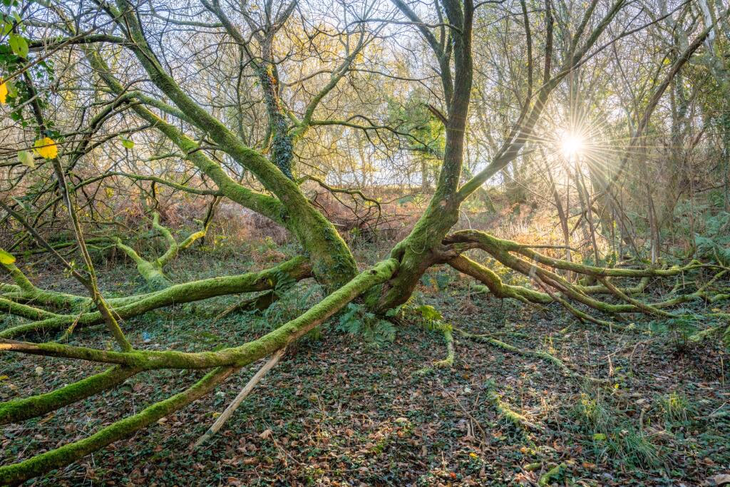 Land for sale - Image 4