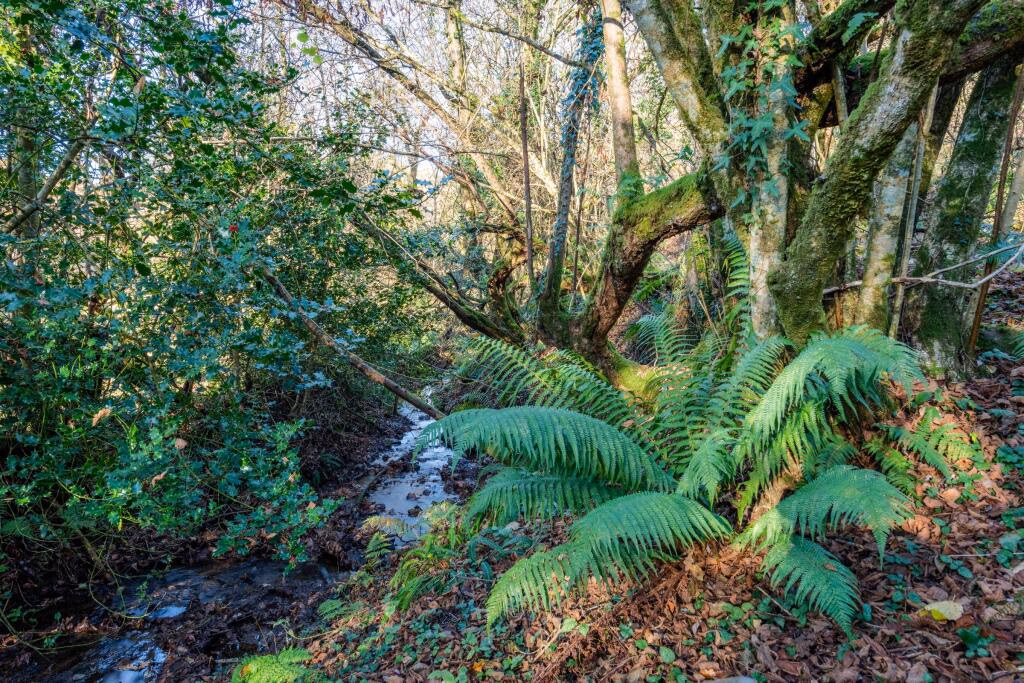 Land for sale - Image 5