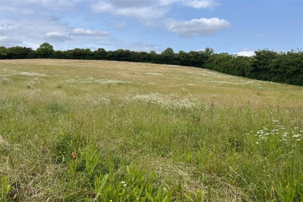 Land for sale - Image 4